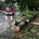 Maltempo in Piemonte, colate di fango e alberi caduti