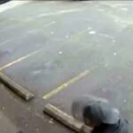 Usa, uomo sfugge miracolosamente a una lama rotante: il video di una telecamera di sicurezza