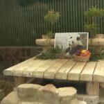 Giappone, decine gli omaggi al panda Tan Tan: era il più vecchio del Paese