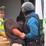 Cile, donna ruba pistola a guardia sicurezza e inizia a sparare: tre persone ferite