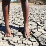 Clima, siccità devastante in Zimbabwe: dichiarato stato di calamità