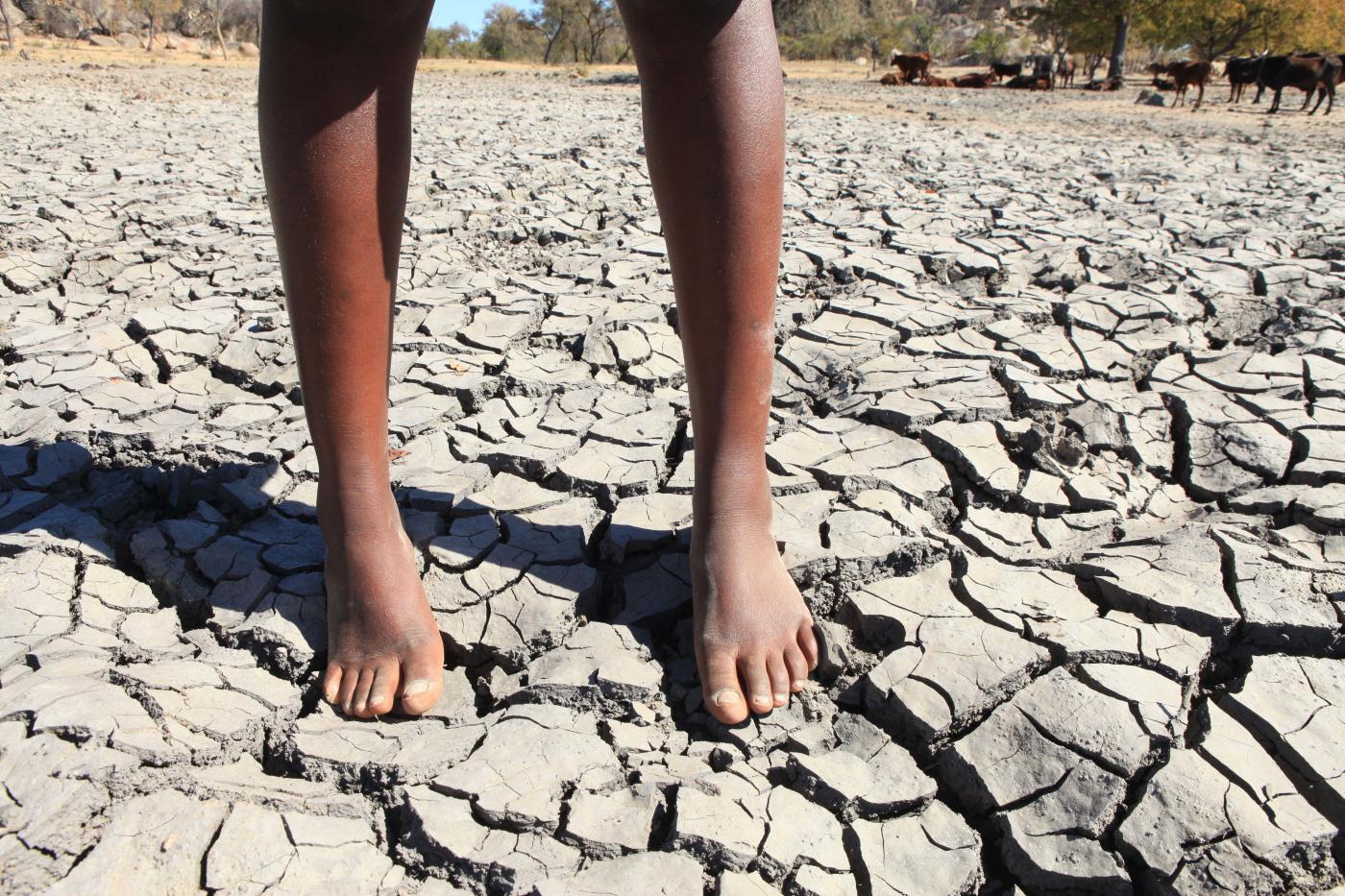 Clima, siccità devastante in Zimbabwe: dichiarato stato di calamità