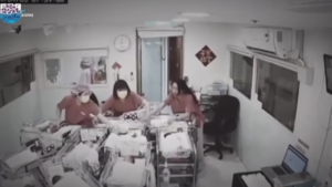Taiwan, le infermiere della maternità proteggono le culle durante la scossa