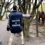 Pisa, farmaci dopanti ai cavalli: denunciato responsabile scuderia