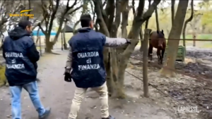Pisa, farmaci dopanti ai cavalli: denunciato responsabile scuderia