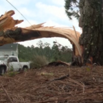 Usa, tempeste e tornado provocano danni in Florida