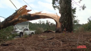 Usa, tempeste e tornado provocano danni in Florida