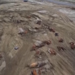 Kazakistan, strage di animali per il maltempo