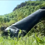 Iran attacca Israele, parti di un missile cadono nella provincia irachena di Irbil