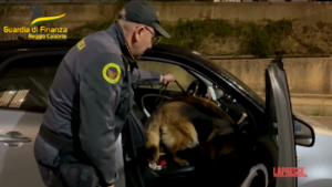 Reggio Calabria, cani fiutano corriere della droga: arrestato 45enne di Napoli
