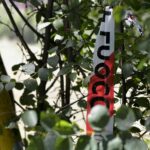 Alto Adige, 22enne muore sul lavoro travolto da albero