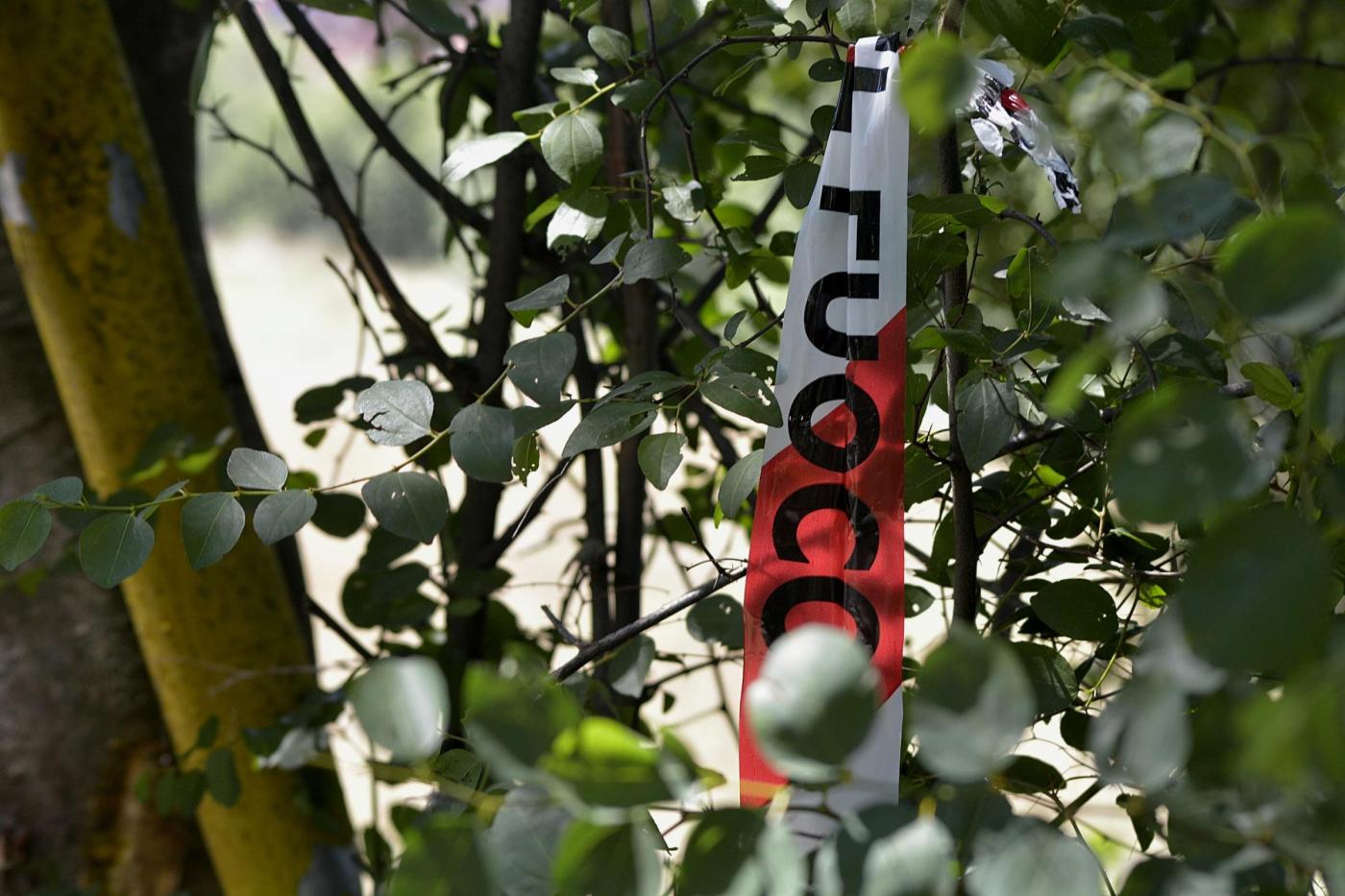 Alto Adige, 22enne muore sul lavoro travolto da albero