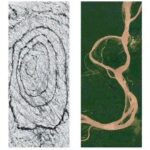 Giornata della Terra, progressi contro il cambiamento climatico nel Doodle di Google