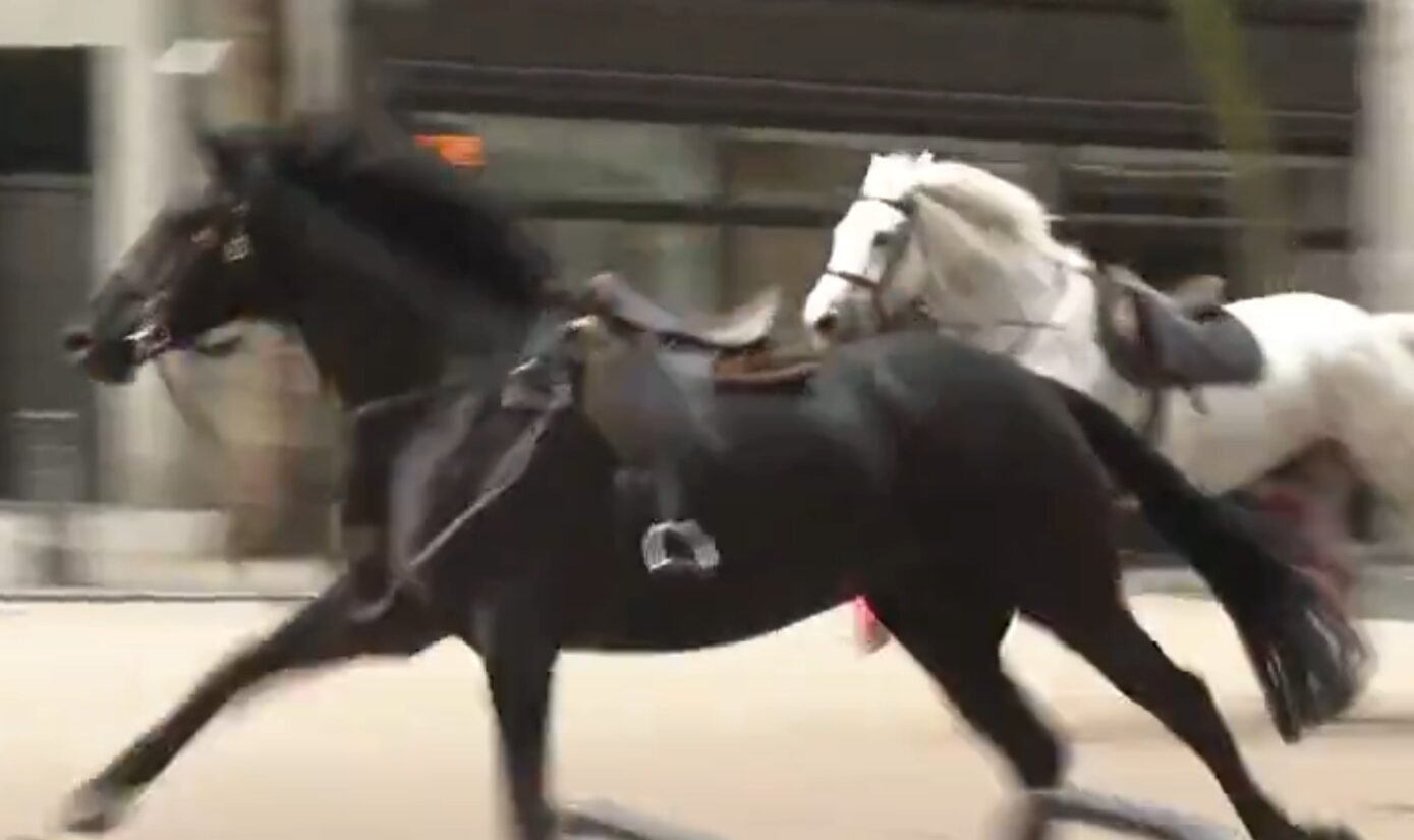 Londra, cavalli dell’esercito in fuga per le strade del centro