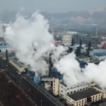 Tg Green 25 aprile – Verso il G7 Ambiente a Torino