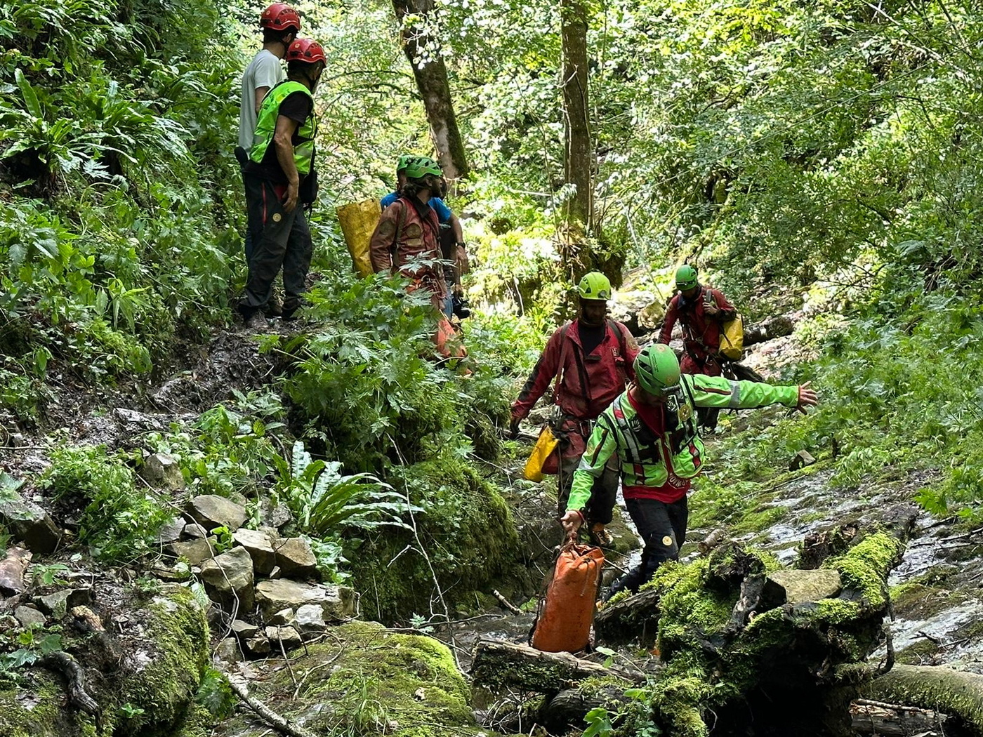 Alto Adige, boscaiolo muore travolto da un albero Alto Adige, boscaiolo muore travolto da un albero
