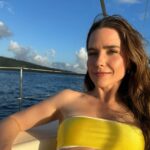 Sophia Bush fa coming out: “Ora amo una donna”