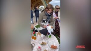 Campobasso, celebrato il primo matrimonio tra cani: sposi due chihuahua