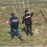 Caporalato in Toscana, 10 arresti: sfruttavano migranti del Cas Piombino