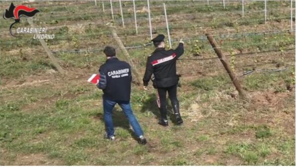 Caporalato in Toscana, 10 arresti: sfruttavano migranti del Cas Piombino