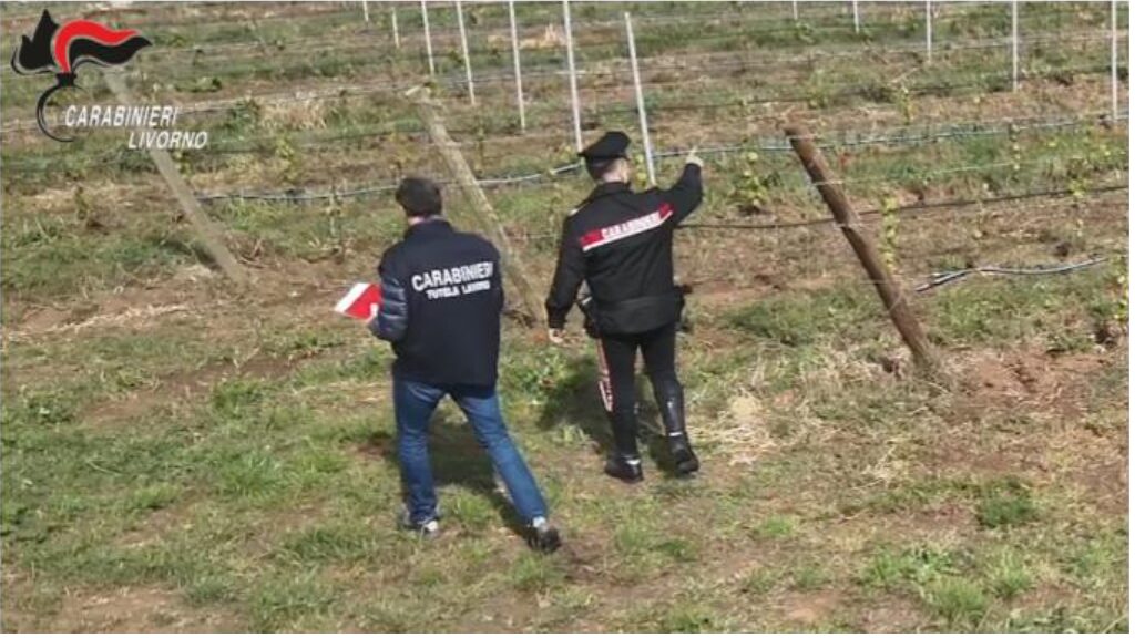 Caporalato in Toscana, 10 arresti: sfruttavano migranti del Cas Piombino