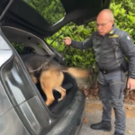 Trento, scoperti 3,3 kg. di cocaina: 3 arresti