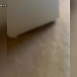 Britney Spears si sloga una caviglia e posta il video: “Nessuna lite, sono caduta”