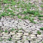 Siccità in Sicilia, Cdm delibera stato di emergenza