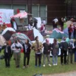 Berlino, protesta pro-Palestina in università: la polizia fa irruzione