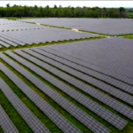 Tg Green 9 maggio – La frenata al fotovoltaico preoccupa Elettricità Futura