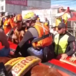 Brasile, cavallo bloccato su tetto dalle alluvioni: il salvataggio