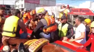 Brasile, cavallo bloccato su tetto dalle alluvioni: il salvataggio