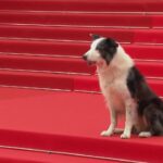 Cannes, il cane Messi star del red carpet
