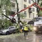 Milano, alberi caduti per la pioggia in via Sanzio