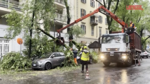 Milano, alberi caduti per la pioggia in via Sanzio