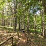 Fai, tornano le “Camminate nella biodiversità”: ecco i luoghi da visitare