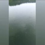 Campi Flegrei, il Lago d’Averno sembra “ribollire” dopo il terremoto