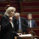 Europee, Le Pen rompe con AfD: “Non siederemo più con loro”