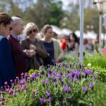 Analisi e tutela ecosistemi, arriva l’App per controllare la biodiversità