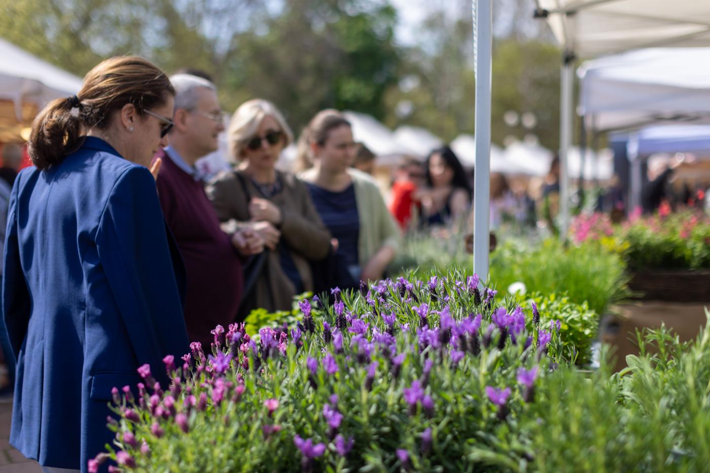 Analisi e tutela ecosistemi, arriva l’App per controllare la biodiversità Analisi e tutela ecosistemi, arriva l’App per controllare la biodiversità