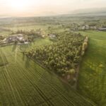 Biodiversità, ecco quanto costa creare un bosco in Italia