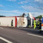 Si ribalta camion carico di bestiame in A4, morti animali e due autisti feriti