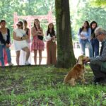 Leo, il cane cieco campione nella ricerca del tartufo