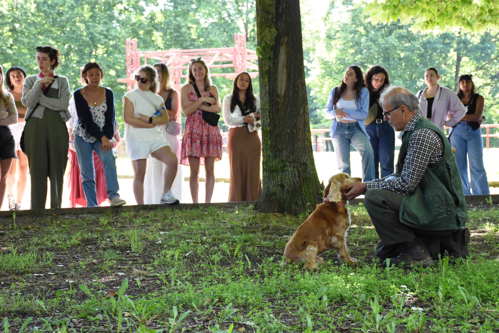 Leo, il cane cieco campione nella ricerca del tartufo