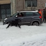 Torino, le strade imbiancate dopo la violenta grandinata