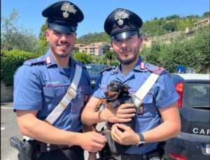 Roma, il cane Tokyo finisce in un tombino: salvato dai carabinieri