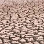 Etiopia, emergenza siccità: 21 milioni di persone a rischio umanitario