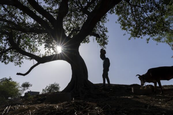 India, caldo record: registrati 52,3 gradi a Nuova Delhi