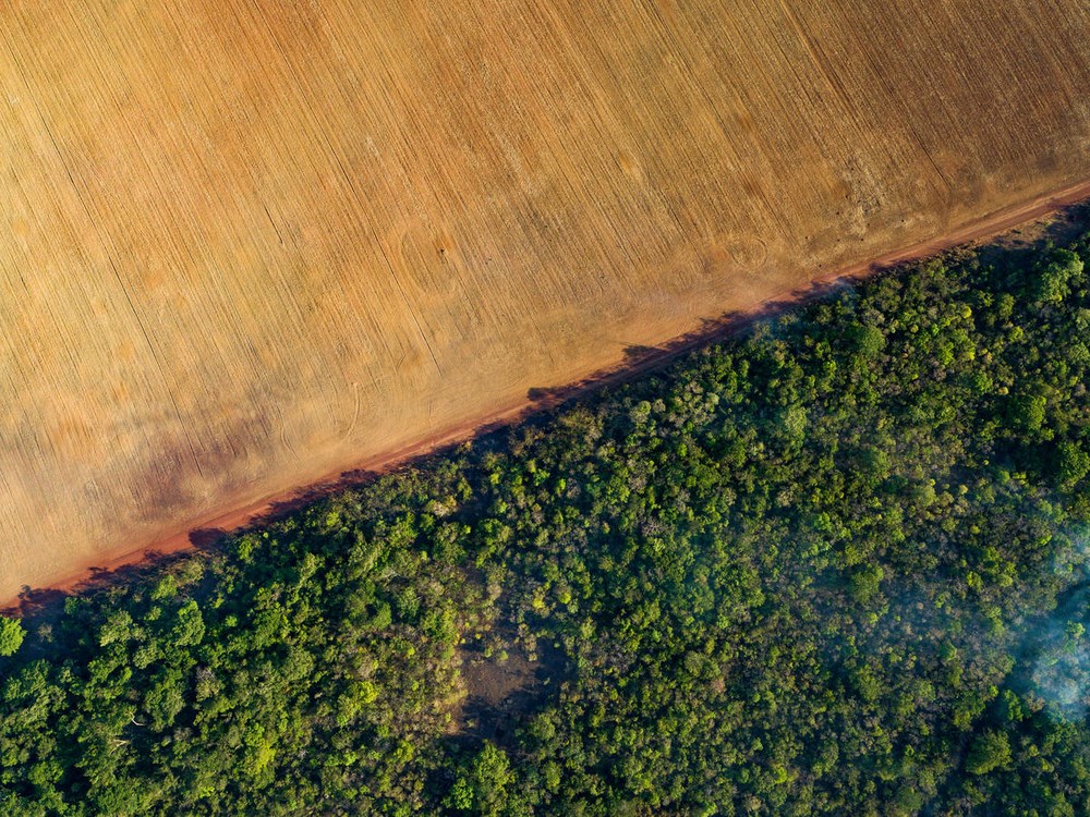 Il green porta valore e occupazione, industrie scelgono sostenibilità