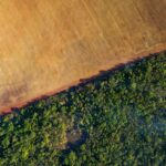 Il green porta valore e occupazione, industrie scelgono sostenibilità